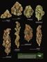 Page: - 19 | High Times