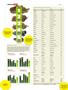 Page: - 40 | High Times