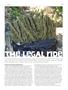 Page: - 63 | High Times