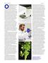 Page: - 78 | High Times