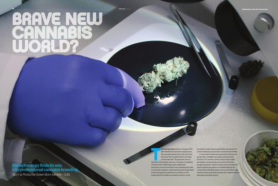 BRAVE NEW CANNABIS WORLD?