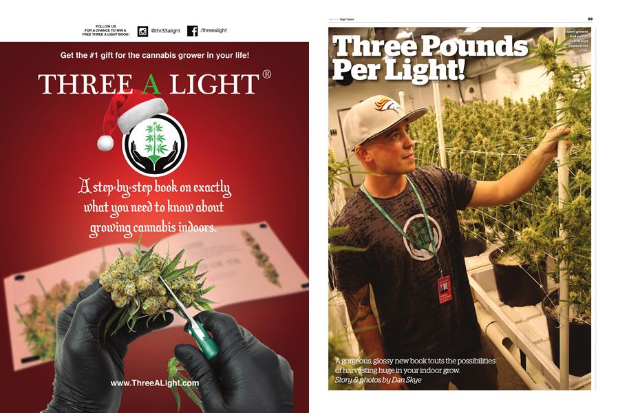Three Pounds Per Light!
