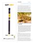 Page: - 112 | High Times