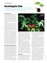 Page: - 118 | High Times
