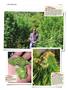 Page: - 146 | High Times