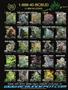 Page: - 3 | High Times