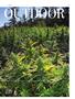 Page: - 73 | High Times