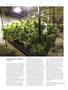 Page: - 74 | High Times