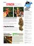 Page: - 8 | High Times