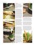 Page: - 90 | High Times
