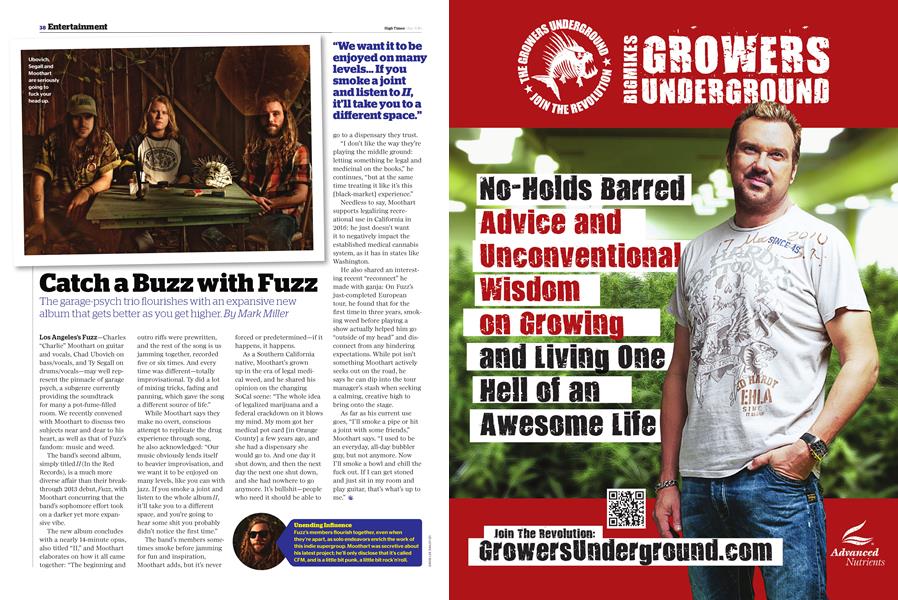 Catch a Buzz with Fuzz
