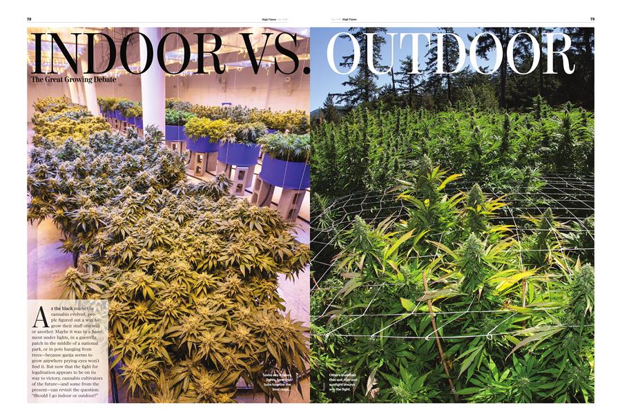 INDOOR VS. OUTDOOR
