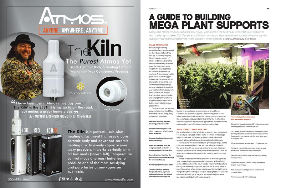 A GUIDE TO BUILDING MEGA PLANT SUPPORTS