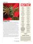 Page: - 10 | High Times