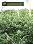 Page: - 14 | High Times
