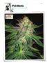 Page: - 144 | High Times