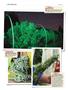 Page: - 146 | High Times
