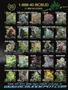 Page: - 3 | High Times