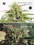 Page: - 51 | High Times