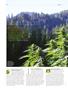 Page: - 54 | High Times