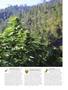 Page: - 55 | High Times