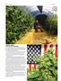 Page: - 62 | High Times