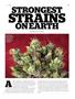 Page: - 69 | High Times