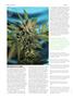 Page: - 72 | High Times