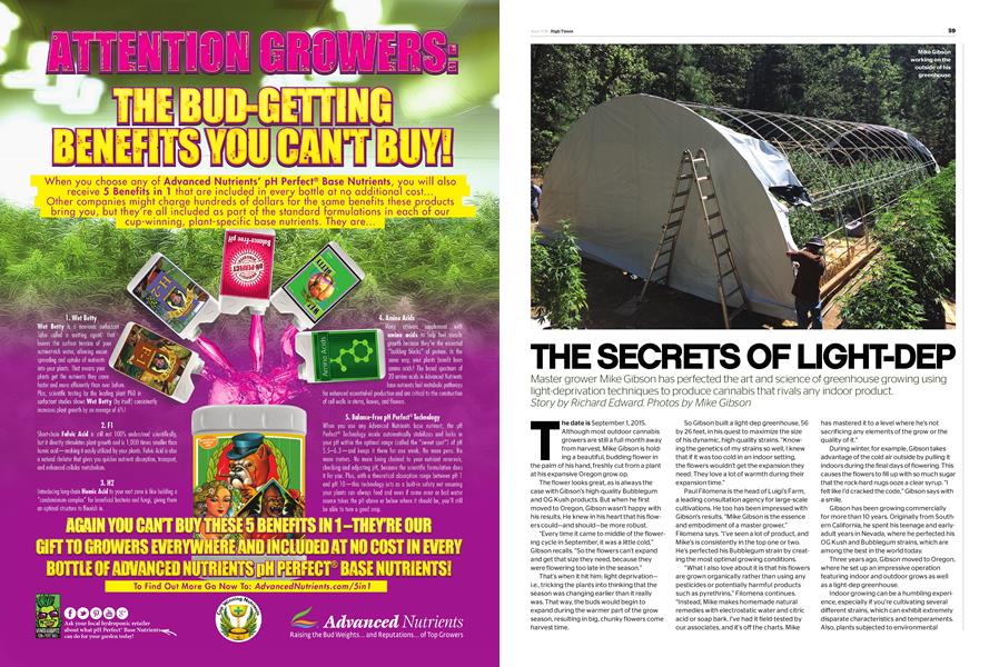 THE SECRETS OF LIGHT-DEP