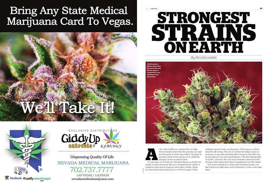 STRONGEST STRAINS ON EARTH