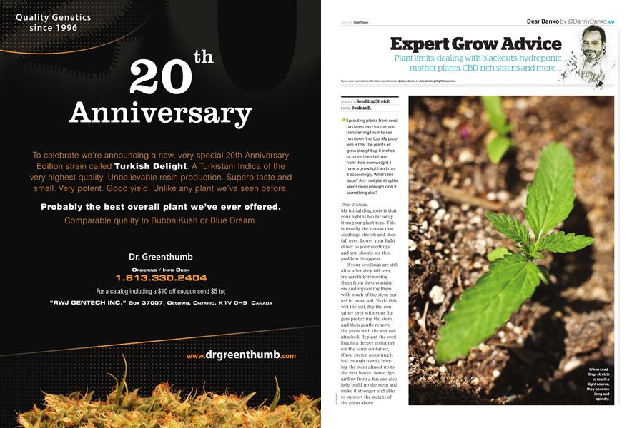 Expert Grow Advice