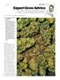Page: - 109 | High Times