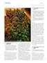 Page: - 110 | High Times