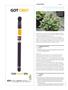 Page: - 112 | High Times