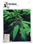 Page: - 136 | High Times