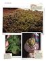 Page: - 138 | High Times