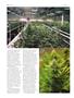 Page: - 46 | High Times