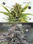 Page: - 51 | High Times