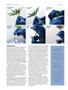 Page: - 54 | High Times