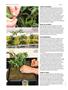 Page: - 58 | High Times