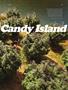 Page: - 67 | High Times