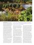 Page: - 68 | High Times