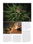Page: - 70 | High Times
