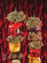 Page: - 82 | High Times