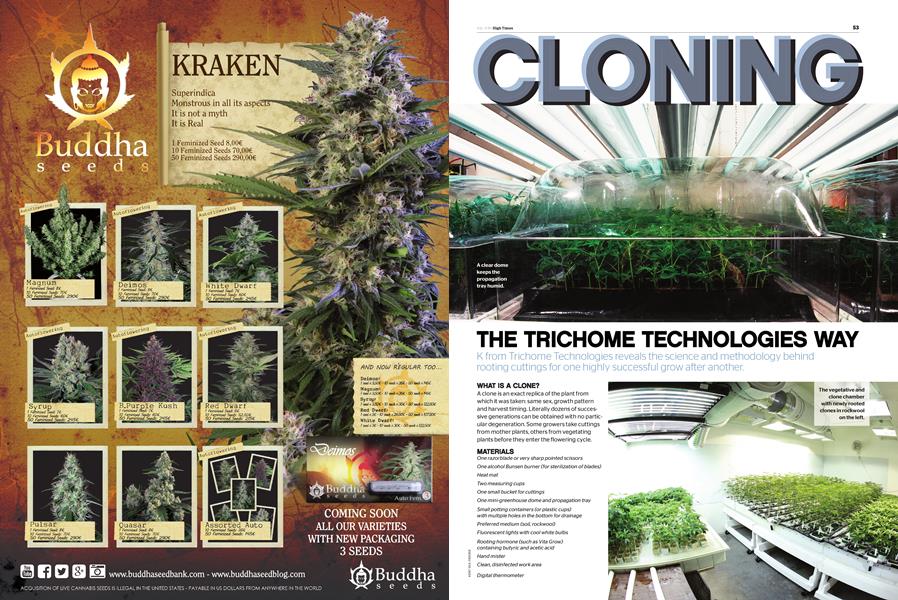CLONING THE TRICHOME TECHNOLOGIES WAY