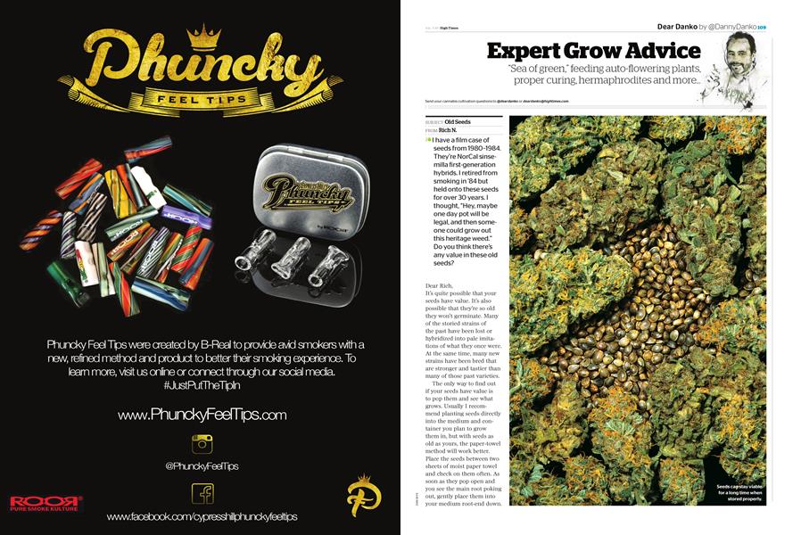 Expert Grow Advice