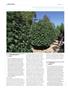 Page: - 108 | High Times