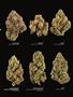 Page: - 13 | High Times