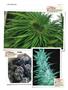 Page: - 138 | High Times