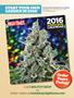 Page: - 145 | High Times